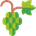 Raisins → Parti vert du Canada